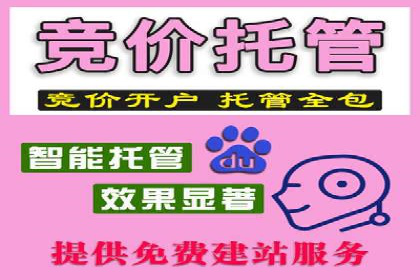 百度竞价排名案例：如何提升广告效果？